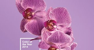  Pantone 2014 Rengini Açıkladı: Parlak Orkide