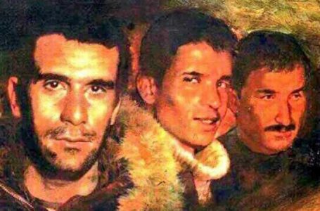 Şiirlerle Romanlarla Yaşayan Üç Fidan